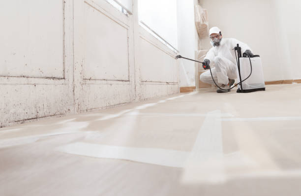 Post-remediation clearance in Cliffwood