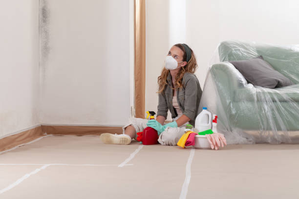 Mold Removal service in Cliffwood